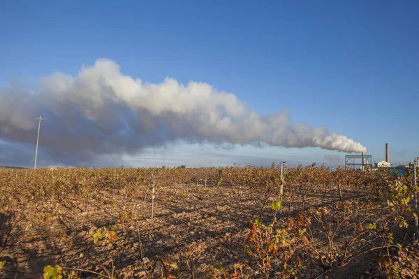 Gasutsläpp Från Olivoljefabrik Tierra Barros Extremadura Spanien — Stockfoto
