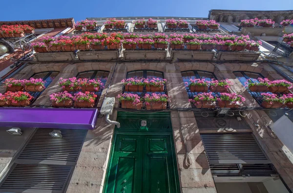 Calle Ancha Balconies Building Decorated Pink Flowers Planters Leon Spain — Stock Photo, Image