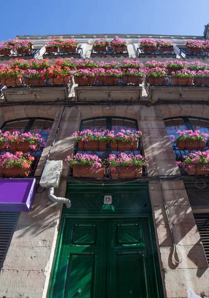 Calle Ancha Balkonger Byggnad Dekorerad Med Rosa Blommor Planterare Leon — Stockfoto