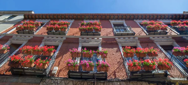 Calle Ancha Balkonger Byggnad Dekorerad Med Rosa Blommor Planterare Leon — Stockfoto
