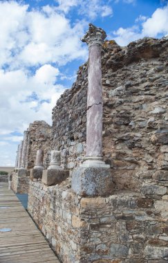 Regina Turdulorum şehrinin Roman kalıntıları. Casas de Reina, Badajoz, İspanya