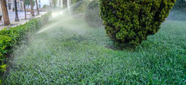 Şehir parkını sulayan fıskiyeler. Yaz sabahı vakti.