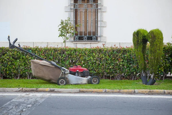 Lawn Mower Close Pruned Bush Landscaped Sidewalks Concept — Stock Photo, Image