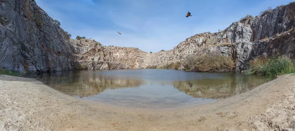 Alcantaraの古い採石場を飛んでいるハゲワシ 今自然スイミングプールとして使用 カセレス エストレマドゥーラ州 スペイン — ストック写真