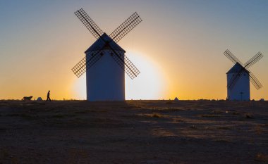 Man walking the dog at rising through the Campo de Criptana windmills site, Spain. Dog-friendly destinations concept