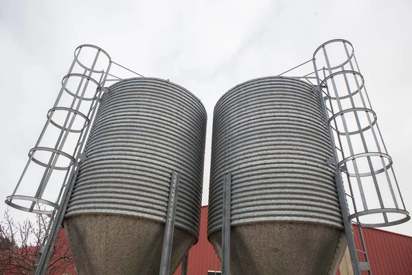Animal feed silos. Zinc-coated storage for animal husbandry