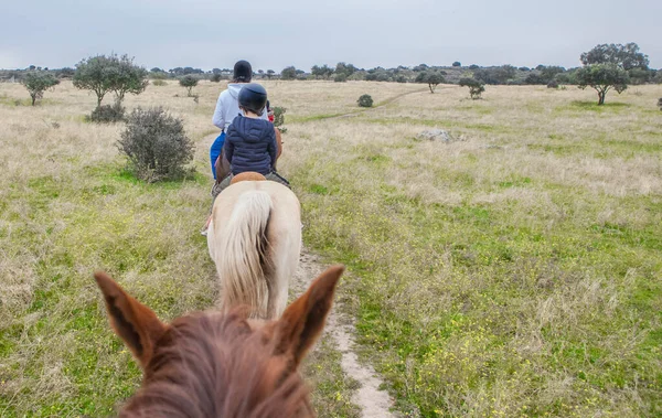骑马穿过Dehesa的逆行路线从马背上看到的场景 — 图库照片