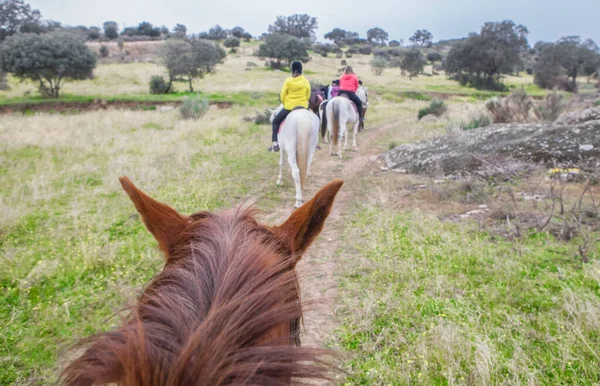 Reitwege Durch Die Landschaft Von Dehesa Szene Vom Pferderücken Aus — Stockfoto