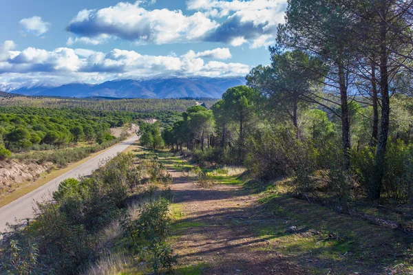 当地Cc 168号公路位于西班牙格拉纳迪拉郊区 景观价值高的道路 — 图库照片