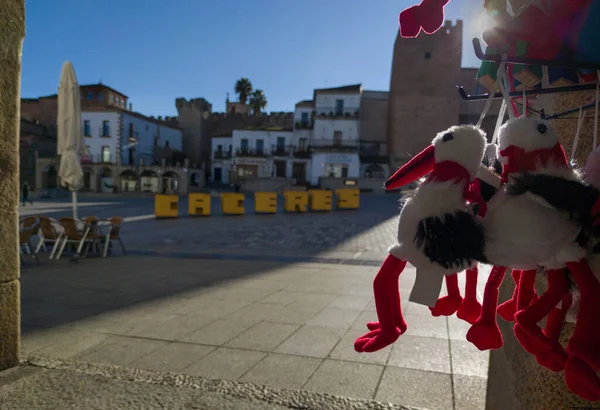 Cigognes Blanches Farcies Près Plaza Mayor Caceres Estrémadure Espagne Cigogne — Photo