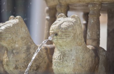 Monterrubio de la Serena, Badajoz, İspanya 'daki Alhambra Aslanları çeşme kopyası.. 