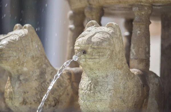 西班牙巴达霍斯蒙特罗比奥德拉塞雷纳的Alhambra Lions喷泉复制品 — 图库照片