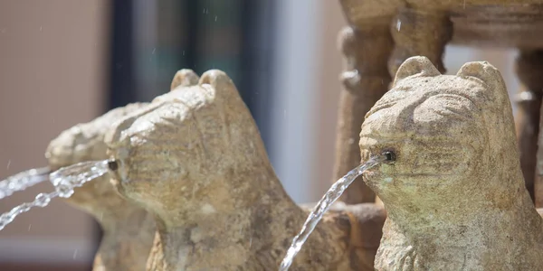 Alhambra Lions Fountain Replica Στο Monterrubio Serena Badajoz Ισπανία — Φωτογραφία Αρχείου