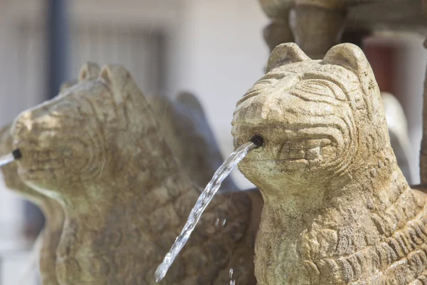 Alhambra Lions Fountain Replica Στο Monterrubio Serena Badajoz Ισπανία — Φωτογραφία Αρχείου