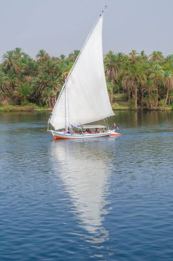 Felucca yelkenlisi Nil Nehri boyunca süzülüyor. 