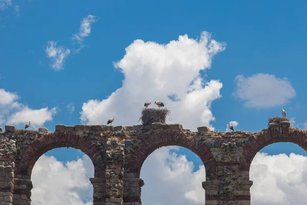 梅里达 米拉格罗斯 Merida Los Milagros 的罗马渡槽上方的白鹤窝 西班牙埃斯特雷马杜拉夏日蓝天 — 图库照片