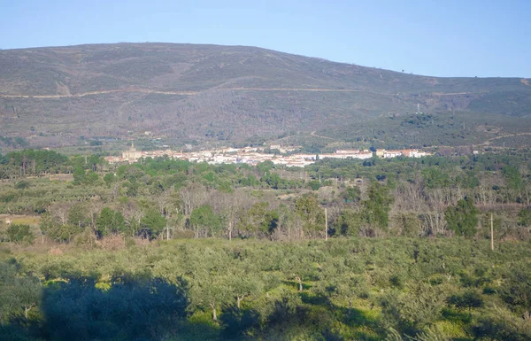 Hoyos 美丽的小镇在Sierra Gata Caceres Extremadura Spain 被森林包围的村庄全景 — 图库照片