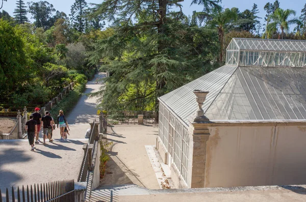 Посетитель Рядом Tropical Greenhouse Botanical Garden Университета Коимбры Португалия — стоковое фото
