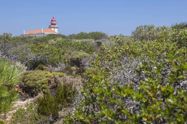 Cabo Sardao Deniz Feneri, Portekiz 'in Alentejo bölgesinin batısında yer almaktadır.