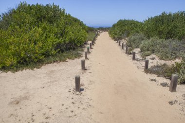 İki tarafı da sakızlı kumlu. Cabo Sardao Sahili, Ponta do Cavaleiro, Sao Teotonio, Portekiz