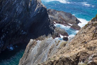 Beyaz leylek yuvası uçurumun tepesine kurulmuş. Cabo Sardao Sahili, Ponta do Cavaleiro, Sao Teotonio, Portekiz