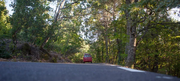 开车穿过美丽的森林Sierra Gata 西班牙Gata郊区Cc 2号地方公路 — 图库照片