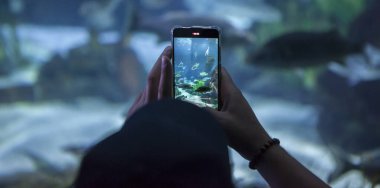 Akvaryumda akıllı telefonla fotoğraf çeken bir ziyaretçi. Yumuşak ses