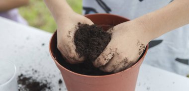 Çimenler çocuklar için atölye başkanı. Tohumları ve gübreyi karıştıran çocuk elleri