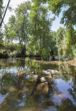 Gevora kayalık nehir yatağı, La Codosera, Badajoz, Extremadura, İspanya. Kristal berrak suların ve nehir kenarındaki ormanların ideal konumu