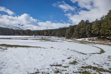 Sierra de Gredos 'taki karlı çayırların manzarası. Hoyos del Espino, Kastilya ve Leon, Avila, İspanya