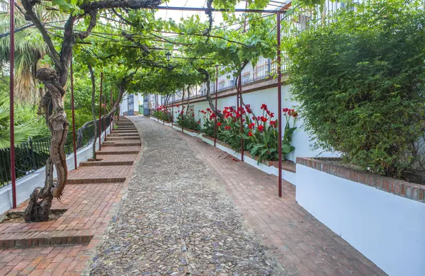 stock image Grape ivy passageway of Alange Spa, Roman-origin thermal baths, Badajoz, Extremadura, Spain