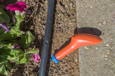 Delgi delgisi, delinmiş sulama borusuna yakın. Damla sulama için bahçe malzemeleri