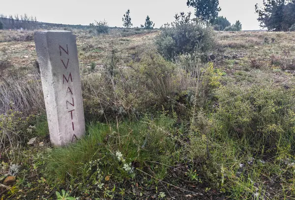 stock image Roman road from Numancia to Uxama, Blacos, Soria, Spain. Numantia city direction marker