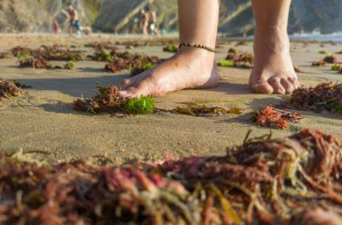 Alglerle kaplı kumda yürüyorum. Nossa Senhora Sahili, Zambujeira do Mar, Portekiz