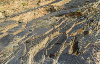 Fosil izleri kopuk bir kaya tabakasında görülebilir. Nossa Senhora Sahili, Zambujeira do Mar, Odemira, Portekiz