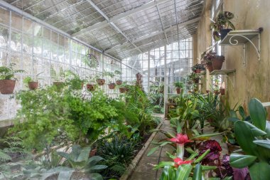 Sintra, Portekiz, 8 Ağustos 2024: Quinta da Regaleira, Sintra 'nın başlıca turistik merkezlerinden biridir. Taş duvarlı sera