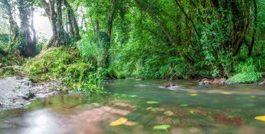 Profundu Nehri güzergahı, Villaviciosa, Asturias, İspanya. Nehir yola paralel akıyor.