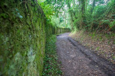 Profundu Nehri güzergahı, Villaviciosa, Asturias, İspanya. Yürü Finca de la Vega Duvarı boyunca