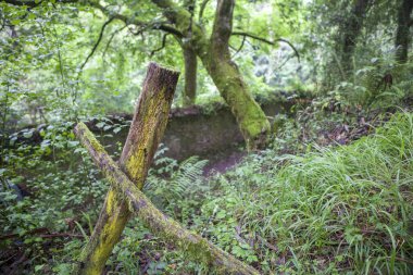 Profundu Nehri güzergahı, Villaviciosa, Asturias, İspanya. Yürü Finca de la Vega Duvarı boyunca