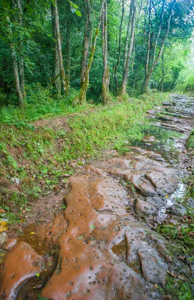 Profundu Nehri güzergahı, Villaviciosa, Asturias, İspanya. Meşe ağaçları ve su değirmenlerinin arasında güzel bir yürüyüş.