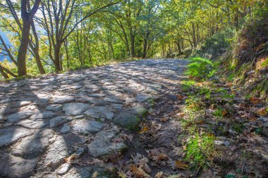 Taş kaldırımlı patika. Garganta de los Infiernos Doğal Rezerv, Extremadura, İspanya