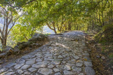 Taş kaldırımlı patika. Garganta de los Infiernos Doğal Rezerv, Extremadura, İspanya
