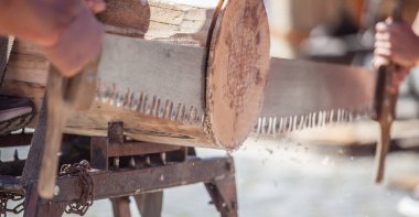 Sawing or trontza, traditional navarrese and basque country sport. Competitors cut the trunk into rings a few centimeters thick clipart