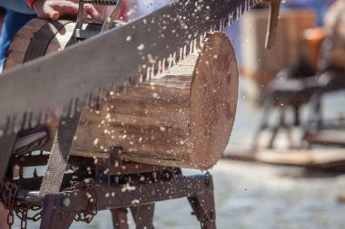 Sawing or trontza, traditional navarrese and basque country sport. Competitors cut the trunk into rings a few centimeters thick clipart