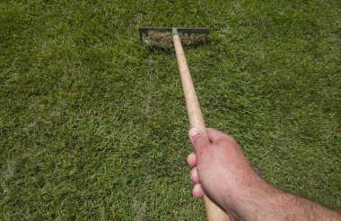 Çimleri biçtikten sonra çim atığı toplamak. Çimen bakımı etkinlikleri için kılavuz araçlar