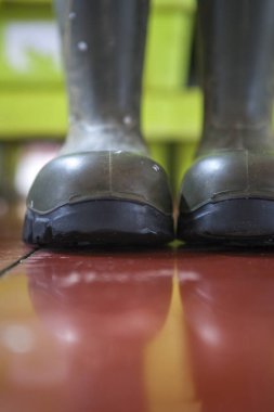 Balıkçıların botları bir balık pazarının zemininde. Arka planda yeşil balık kutuları