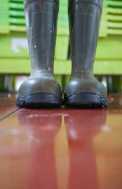 Balıkçıların botları bir balık pazarının zemininde. Arka planda yeşil balık kutuları