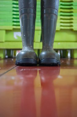 Balıkçıların botları bir balık pazarının zemininde. Arka planda yeşil balık kutuları