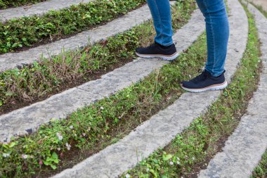 Ivy beton basamakları kapattı. Merdiven manzarası