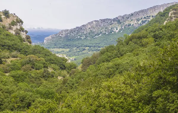 Goni Vadisi Genel Bakış, Aizpun, Navarra, İspanya. Urbasa Moutains 'in kalbinde zümrüt ormanlarının olduğu ideal bir yer.